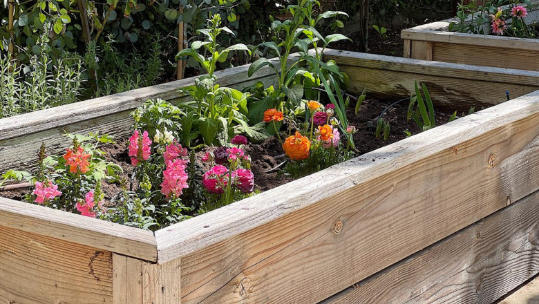Raised Garden Bed
