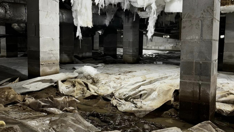 Transform Damp Crawl Spaces into Dry, Healthy Foundations