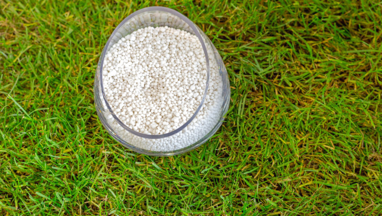 Análisis Integral del Mercado de Fertilizantes en Colombia: Tendencias, Oportunidades y Perspectivas de Crecimiento