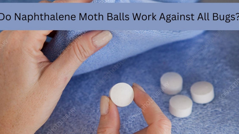 Do Naphthalene Moth Balls Work Against All Bugs?