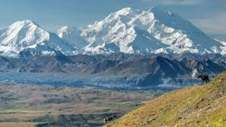 Mountain