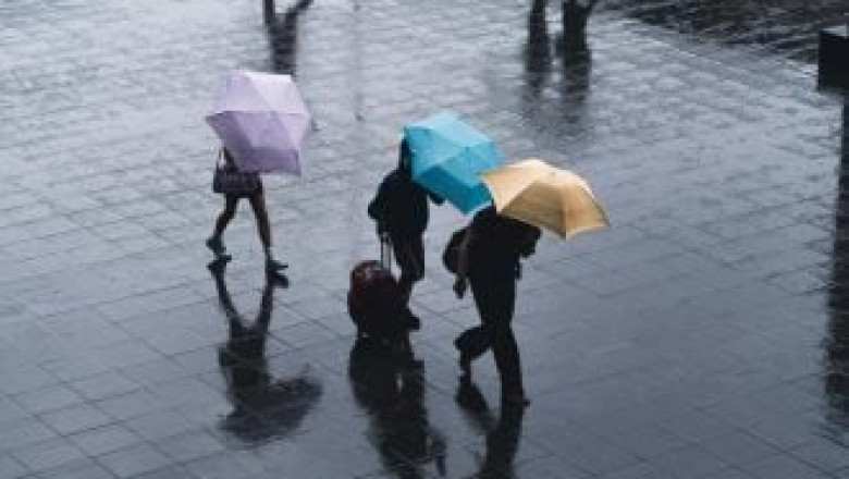 Real-Time Climate Insights for Your Neighborhood and Beyond
