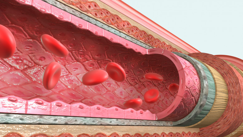 Exploring the Potential of Vascular Endothelial Growth Factor Antibodies in Cancer Treatment