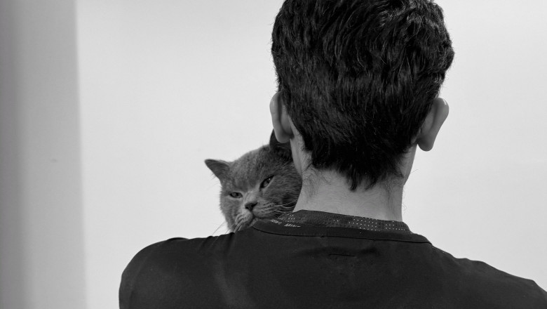 Best Pet Grooming Salons in Dubai for a Pawsitive Experience