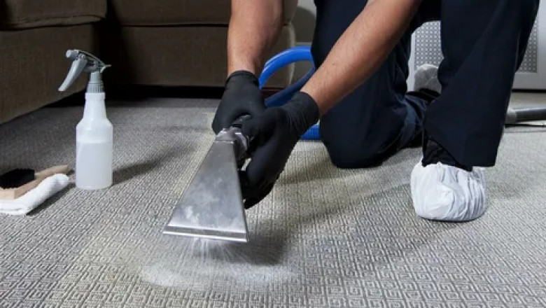 How Do Cleaners Treat Pet Urine That Has Soaked into Carpet Padding?