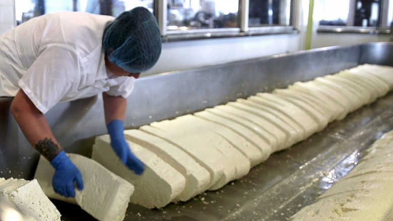 Cheese Manufacturing Plant Project Report: Business Plan, Manufacturing Process and Machinery Requirement