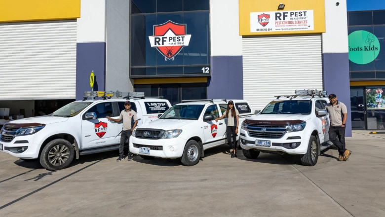 Say Goodbye to Pests with Professional Rodent Control in Melbourne