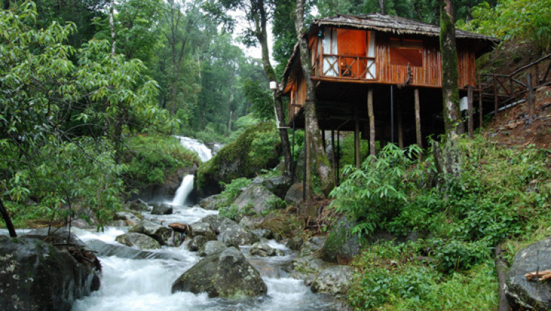Unforgettable Escapes with the Best Coorg Tour Packages