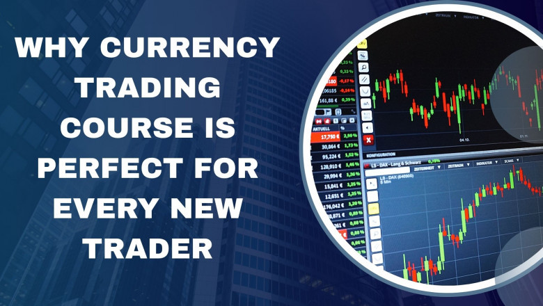 Why Currency Trading Course is Perfect for Every New Trader