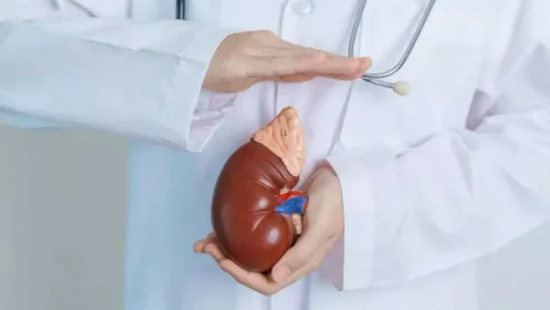 How Kidney Transplants Are Changing Lives: Key Benefits You Should Know
