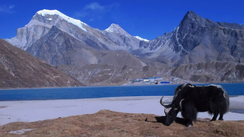 Why You Need a Gokyo Ri Trek Guide: A Real Experience-Based Insight