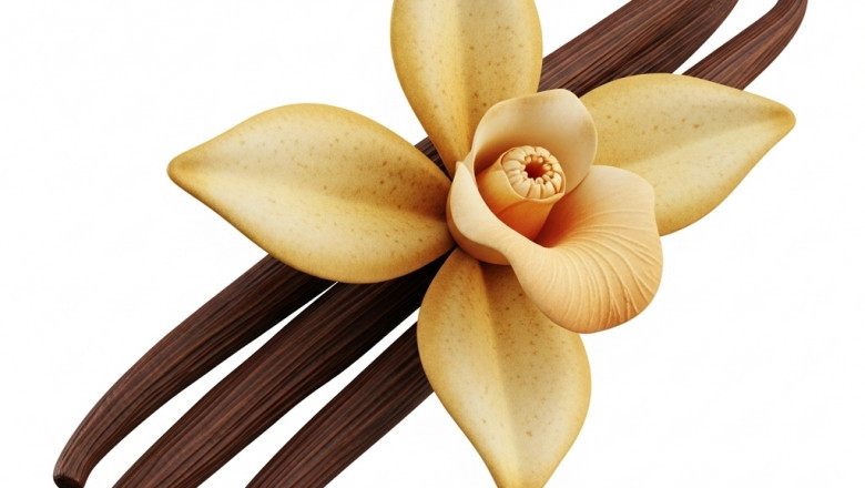 Europe Vanilla Market Poised for Strong Growth in the Future by 2028