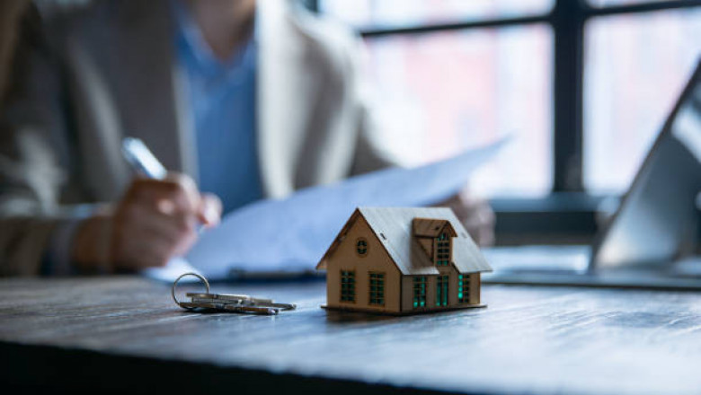 Real Estate Rental Agency: 8 Keys to Pet-Friendly Rentals