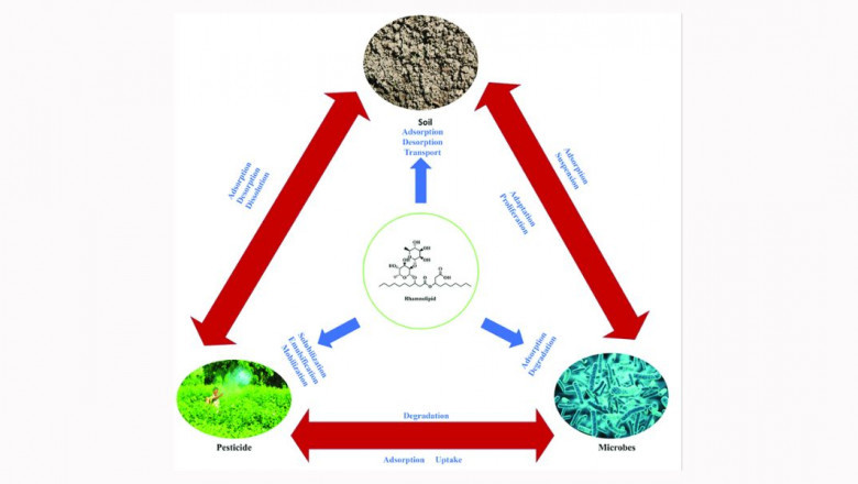 What Is a Biosurfactant? A Simple Guide for Everyone