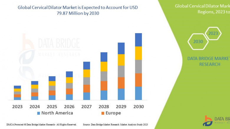 Cervical Dilator Market Expands with Increased Adoption in Gynecological Procedures