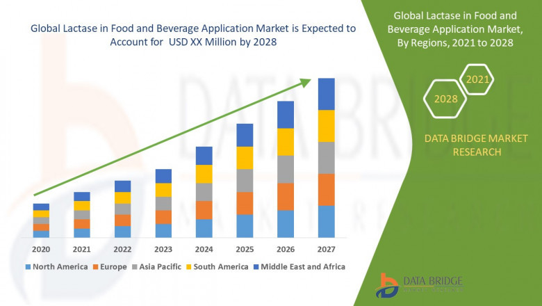 Lactase Enzyme Market Rises with Growing Demand for Lactose-Free Products