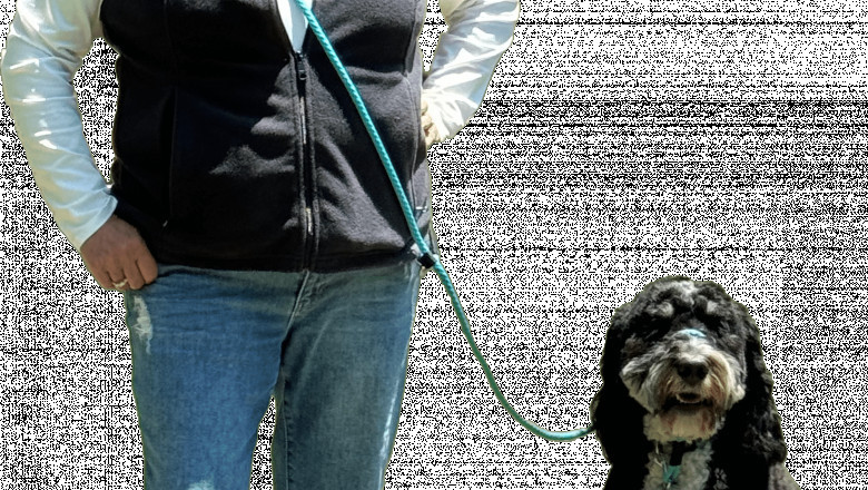 Tired of Tug-of-War Dog Walks? This Leash Could Be the Game-Changer You’ve Been Waiting For