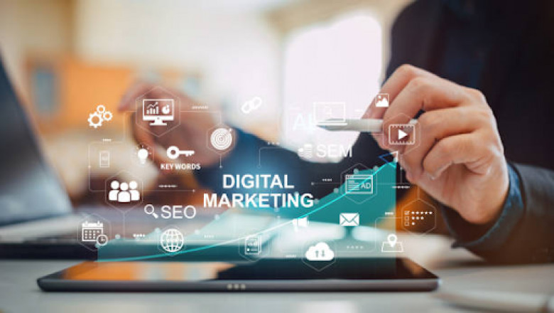 What Can You Expect from Top Digital Marketing Services in Colorado?