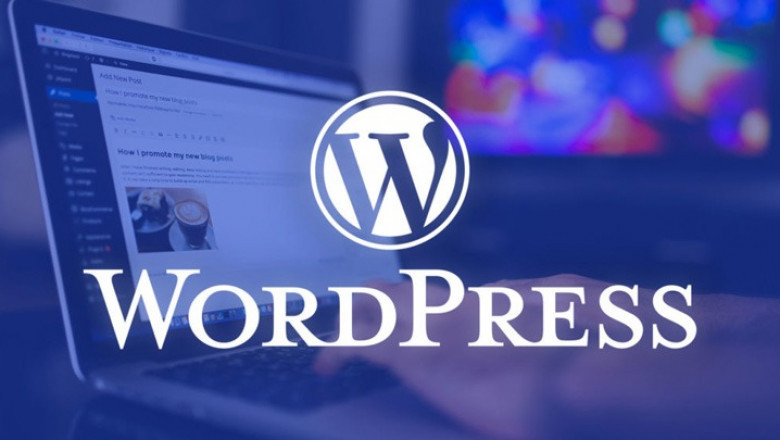 Top 5 WordPress Features Every Vadodara Business Website Needs in 2025