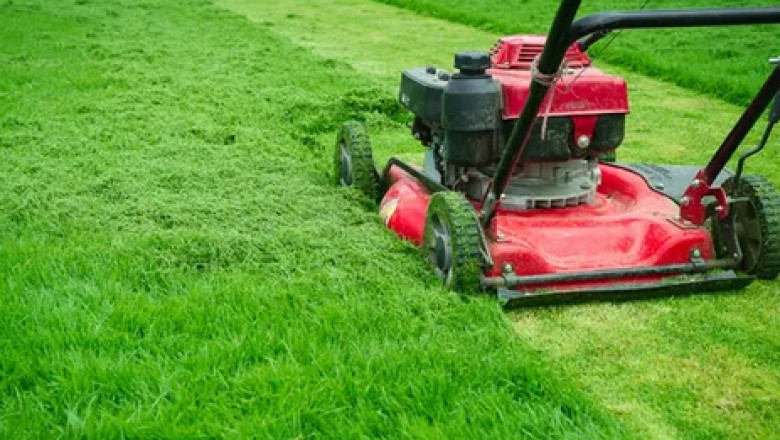DIY vs. Lawn Mowing Services: Which Is Better?