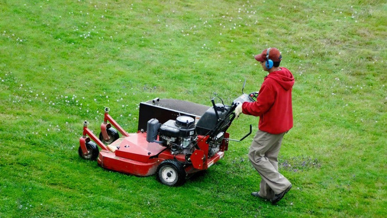 How to Choose the Right Lawn Mowing Services for Your Yard