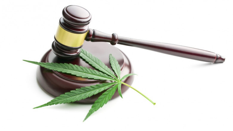 Is Marijuanas Legalized in SC? Clear Guide &amp; Updates