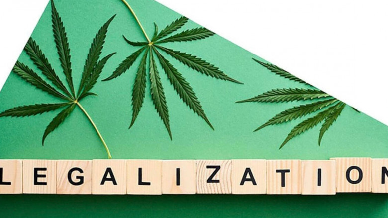Understanding and Exploring Cannabis Culture Today