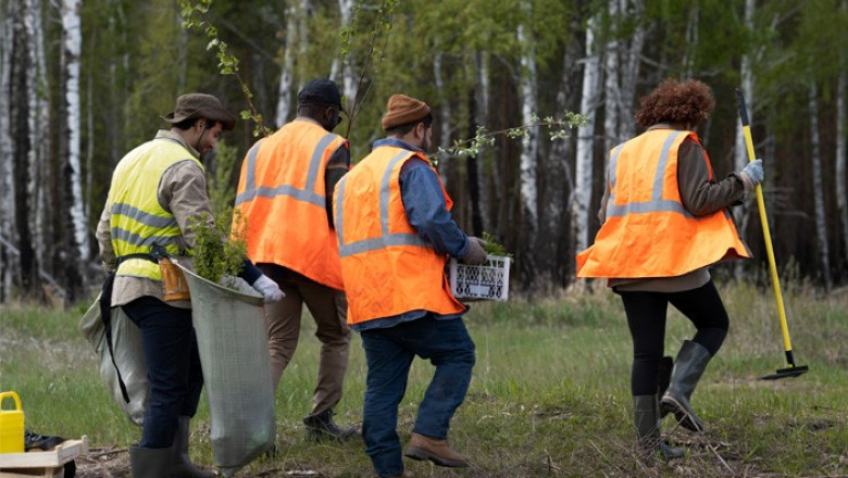 Why Land And Lot Clearing Is Vital for Safe Construction Prep?