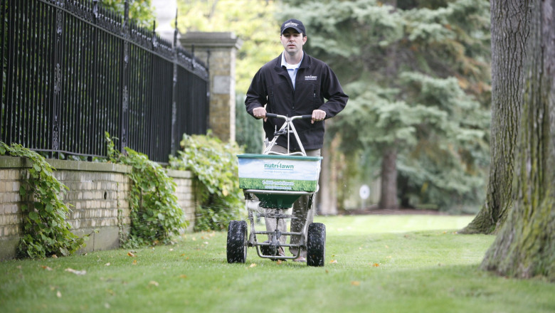 Pest Control Services: DIY vs. Professional Help.