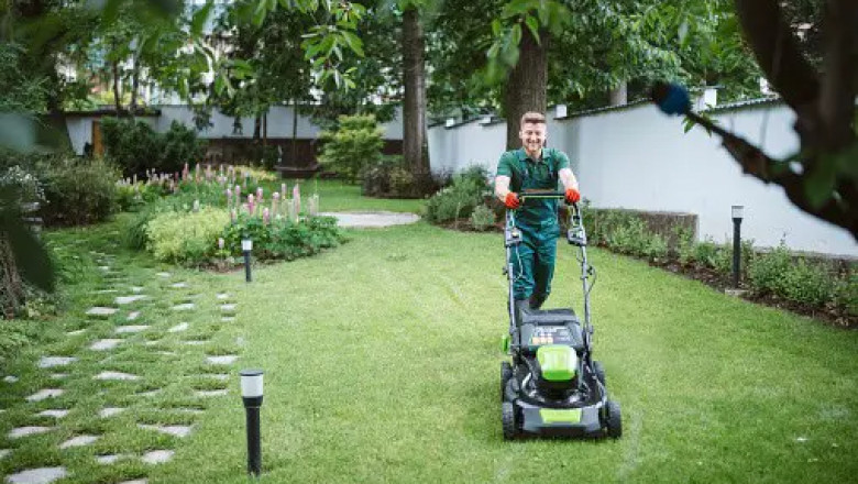 Dealing with Lawn Pests in Vancouver: What You Need to Know