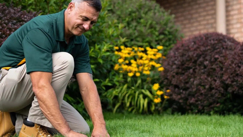 Does Vancouver Have Lawn Care Regulations You Should Know?