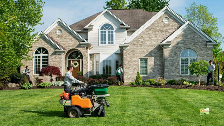 How to Handle Moss and Weeds in Your Vancouver Lawn.