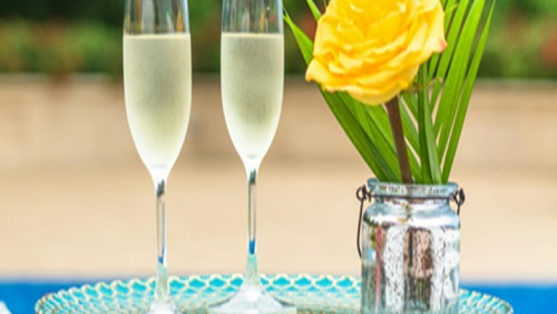 Elevate Your Event with Premium Event Staffing Services