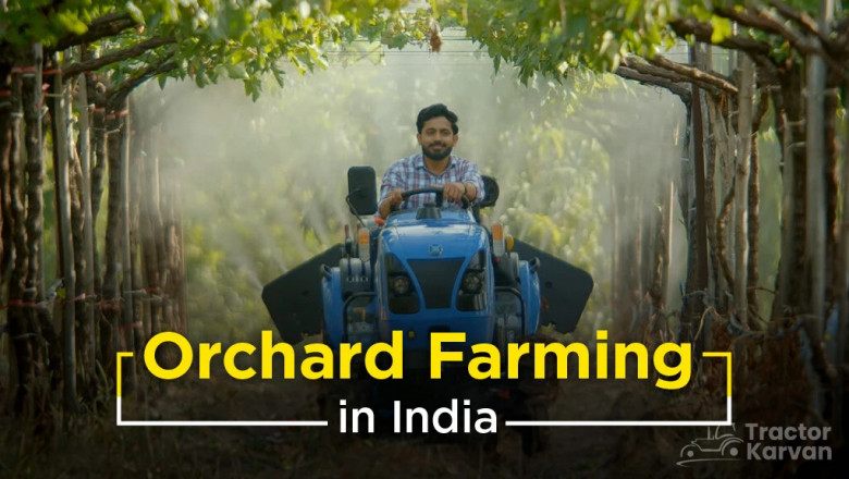 Top Orchard Farming and Management