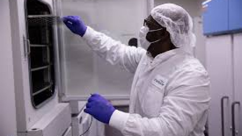 Viral Clearance Market Growth and Strategic Outlook