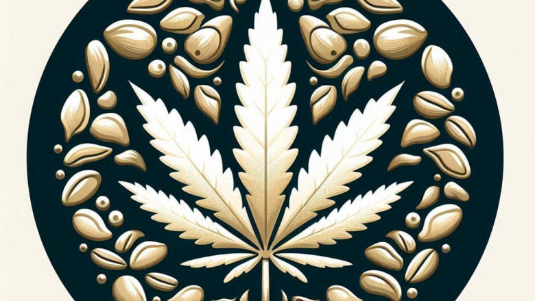 White Widow Cannabis Cultivation: A Grower's Guide