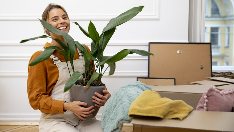 Why Eco-Friendly Office Furniture Is the Future of Workplace Design