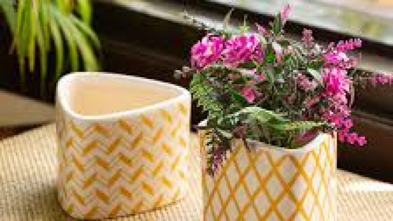 Why You Should Choose Ceramic Plant Pots for Your Home and Garden