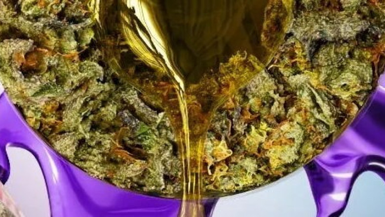 The Rise of THC-A in Hemp: A Legal Loophole or the Future of Cannabis?