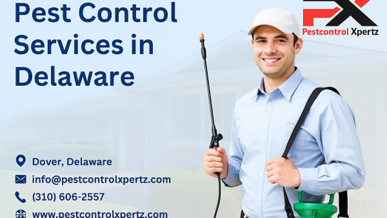 Pest Control in Glasgow: What Landlords Need to Know