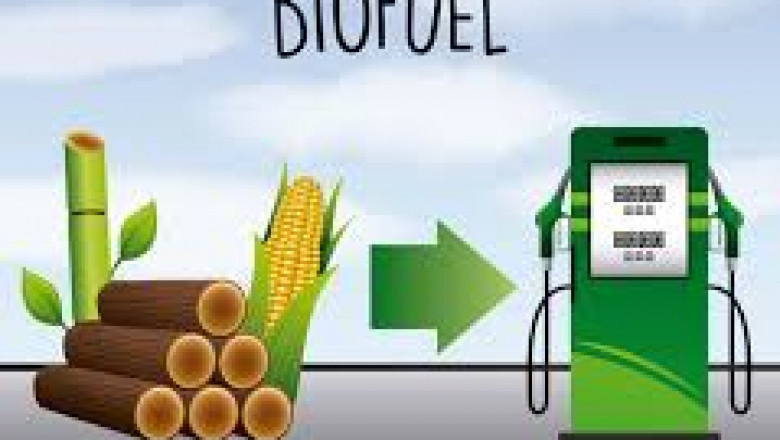 Advanced Biofuel Market Growth and Strategic Insights 2025-2032