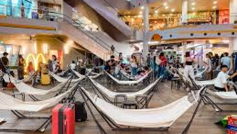 Global Hammock Market: Size, Trends, Growth, and Strategic Insights 2025-2032